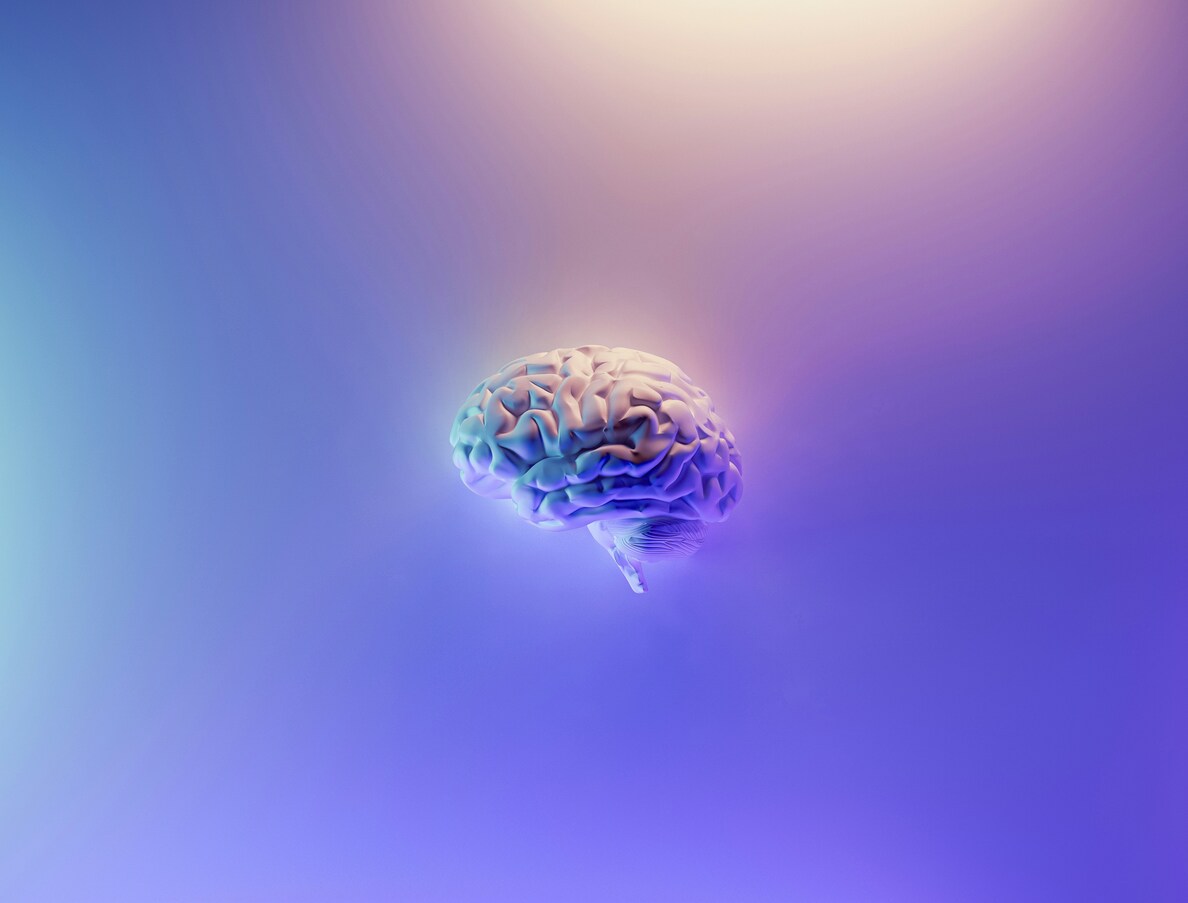Effects of Pornography on the Brain